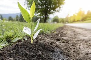In a parched landscape, a testament to resilience emerges, a delicate shoot pushing through the arid earth This tiny beacon of life, vibrant green against the dry backdrop, symbolizes hope and the photo