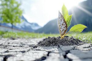In a parched landscape, a tiny seedling emerges, a symbol of hope and resilience against the odds The cracked earth tells a story of dryness and hardship, yet life persists This fragile sprout photo