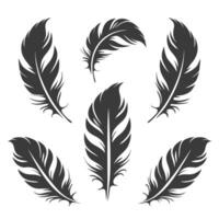 Elegant black and white feather icons for minimalist projects. vector