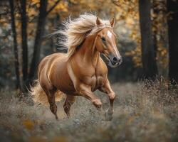 In a realm where verdant meadows stretch and golden sunlight filters through the leaves, a majestic horse embodies freedom It gallops with unrestrained energy, mane flowing like a banner of defiance photo