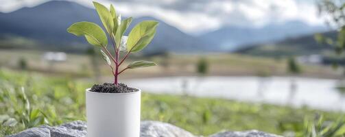 In a serene landscape, a lone, vibrant sprout bravely emerges, a testament to resilience Against a backdrop of majestic mountains and a tranquil lake, the tiny plant stands defiant Its fragile leaves photo