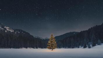 A christmas tree stands alone in the middle of a snowy field photo