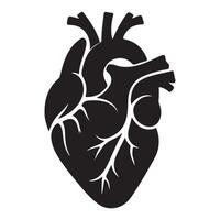 Detailed Silhouette Anatomical Heart Graphic for Medical Designs vector