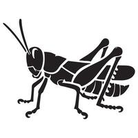 Detailed Illustration of a Grasshopper Insect for Design Projects vector