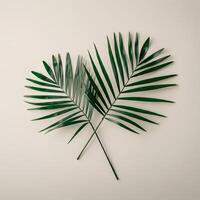 Palm leaf with green natural veins casting shadows on a light wall creating minimalistic botanical pattern photo