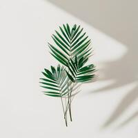 Palm leaf with green natural veins casting shadows on light wall creating minimalistic botanical pattern photo