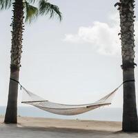 Empty woven hammock tied between two palm trees overlooking calm sea on tropical sandy beach under soft cloudy sky photo