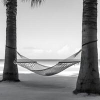 Empty woven hammock tied between two palm trees overlooking calm sea on tropical sandy beach in soft cloudy sky photo