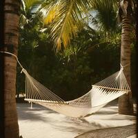 Empty woven hammock strung between palm trees on sandy ground with lush tropical foliage under warm sunlight photo