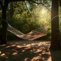 Empty woven hammock strung between palm trees on a sandy ground with lush tropical foliage in warm sunlight photo