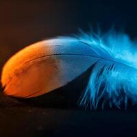Close up of a feather with blue and orange gradient lighting on dark background macro photography photo