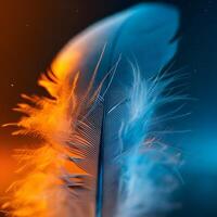 Close up of feather with blue and orange gradient lighting on a dark background macro photography photo