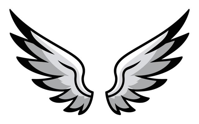 Symmetrical black-and-white wings illustration with curved edges and pointed tips. Thin feather lines on a clean white background highlight aerodynamic design for minimalist or symbolic themes.