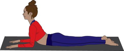 Sphinx Pose Salamba Bhujangasana Yoga vector