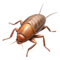 serene rustic Cockroach Scurrying Across Floor Transparent Background high resolution png
