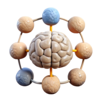 Cognitive Functions Diagram Interconnected Nodes Isolated png