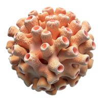 impressive creative Coral Reef Artificial Structure Top View Isolated detailed png