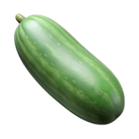 impressive rustic Cucumber Isolated on White Background detailed png