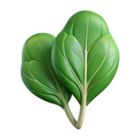 impressive abstract Spinach Leaves Cutout with Transparent Background high resolution png