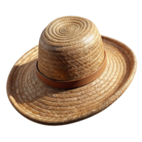 wonderful rustic Straw Hat Woven Texture Transparent Background genuine png