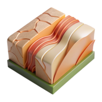 wonderful modern Earthquake Fault Line Diagrammatic View Transparent Background authentic png