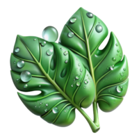 impressive rustic Tropical Leaves with Water Droplets Transparent Background png