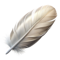 vibrant vintage Feather Single White Downy Texture Isolated png