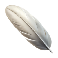 extraordinary classic White Feather Floating Gently Cutout Transparent Background high resolution png
