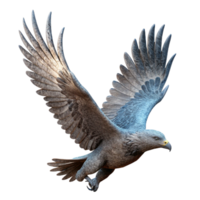 wonderful modern Flying Eagle Silhouette Side Angle Transparent Background original png