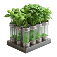 beautiful rustic Fresh Herbs Growing in Vertical System Transparent Background high quality png
