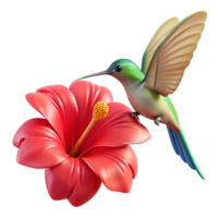 serene creative A delicate hummingbird hovering near a bright red hibiscus flower, detailed illustration, soft lighting authentic png