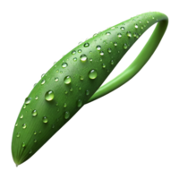 wonderful creative A single blade of grass covered in dew, macro photography, realistic, close-up authentic png