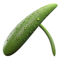 elegant classic A single blade of grass covered in dew, macro photography, realistic, close-up authentic png