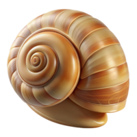 serene traditional A Close Up of a Snail Shell S Intricate P detailed png