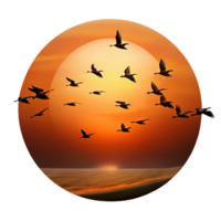 elegant minimalist A Group of Migrating Birds Silhouetted Agai high resolution png