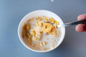 A spoon lifting a portion of crispy cornflakes soaked in milk from a white bowl photo