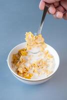 A spoon lifting a portion of crispy cornflakes soaked in milk from a bowl photo