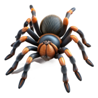 impressive creative A Tarantula Crawling on a Web Dark and Mo high quality png