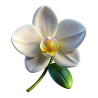 stunning minimalist A Single White Orchid Blooming A genuine png