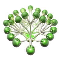 extraordinary minimalist A Complex Network of Interconnected Roots high quality png