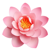 Sacred lotus flower with delicate petals isolated on transparent background png