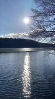 Sunlit serenity over tranquil lake with gentle ripples and reflective water video