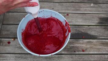 Raspberry sauce preparation involves blending raspberries into a smooth puree using an immersion blender in a bowl, creating a vibrant and flavorful culinary base video