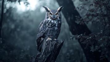 Majestic great horned owl perched on tree stump in mysterious forest setting photo