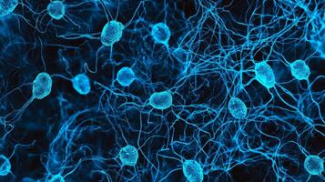 Microscopic view of neural connections highlighting complex synaptic structures in blue photo