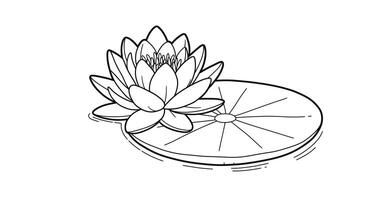 Coloring Page Featuring a Water Lily Blossom Floating on a Lily Pad vector