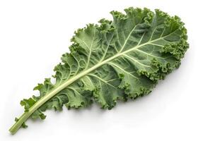 A single, large kale leaf with a long, sturdy stem and curly edges. The leaf is a rich green color, with a textured, crinkled surface and prominent veins. Its ruffled appearance and vibrant photo