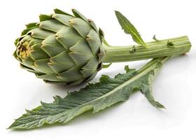 A A fresh artichoke with a long, sturdy stem and several lance-shaped leaves is displayed on a white background photo