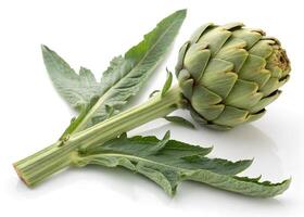 A fresh artichoke with a long, sturdy stem and several lance-shaped leaves is displayed on a white background photo