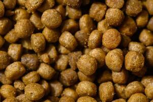 Crunchy pet food pellets scattered on a surface create a vibrant feeding display photo